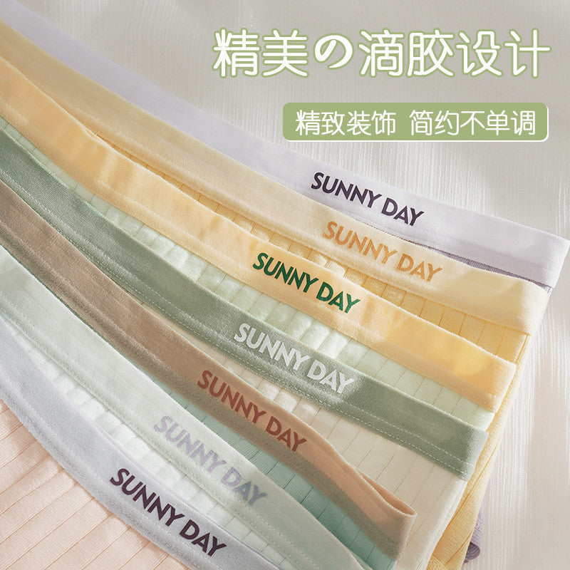 簡約拼色純棉內褲